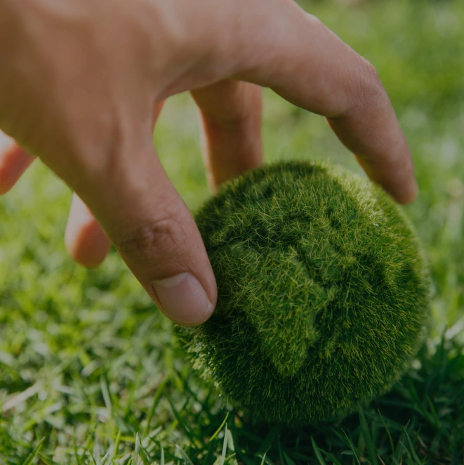 Product Carbon Footprint (PCF)